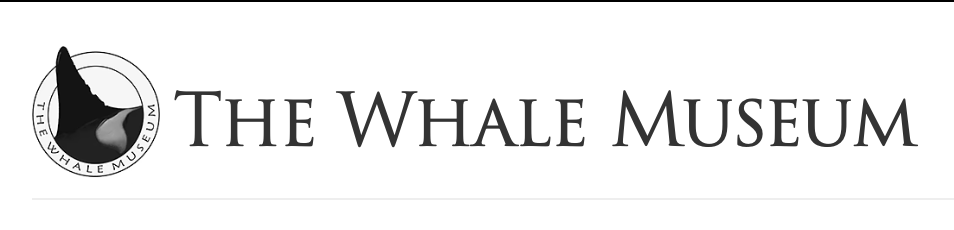 whale museum